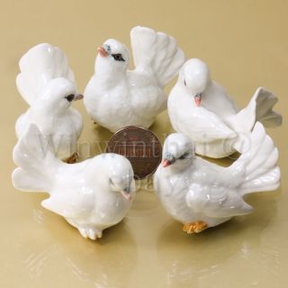 5 White Dove Pigeons Bird Flow Ceramic Pottery Statue Animal Miniature Figurine