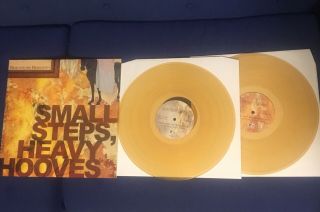 Dear And The Headlights Small Steps Heavy Hooves Vinyl Lp Amber First Press