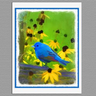 6 Indigo Bunting Blue Wild Bird Blank Art Note Greeting Cards