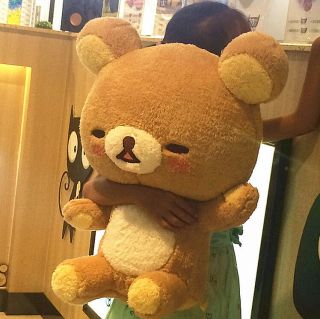 Jumbo Rilakkuma Shy San - X Plush Doll Stuffed Toy Bear Male 20 " Rare Gift