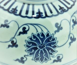 A Chinese Blue and white Porcelain Bowl 5
