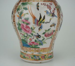 Antique Chinese Canton Famille Rose Porcelain Vase with Lion Handle 19th C QING 2