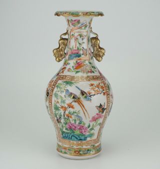 Antique Chinese Canton Famille Rose Porcelain Vase with Lion Handle 19th C QING 7