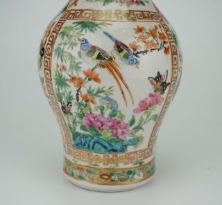 Antique Chinese Canton Famille Rose Porcelain Vase with Lion Handle 19th C QING 8