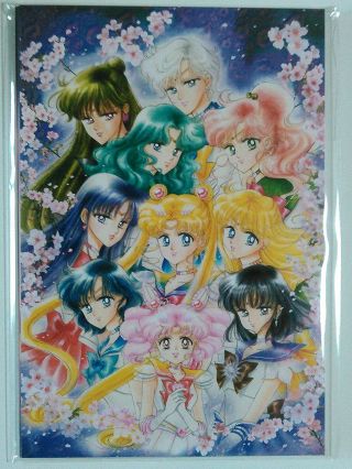 Sailor Moon Exhibition Post Card Set - Full Version From Japan