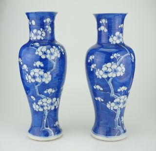 Large Pair Chinese Blue And White Prunes Blossom Porcelain Vase Kangxi 19th C