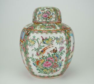 LARGE Antique Chinese Canton Famille Rose Porcelain Vase Ginger Jar & Lid 19th C 4