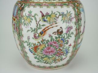 LARGE Antique Chinese Canton Famille Rose Porcelain Vase Ginger Jar & Lid 19th C 5