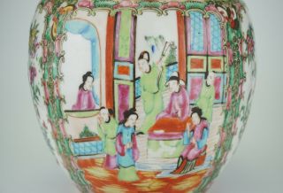 LARGE Antique Chinese Canton Famille Rose Porcelain Vase Ginger Jar & Lid 19th C 7