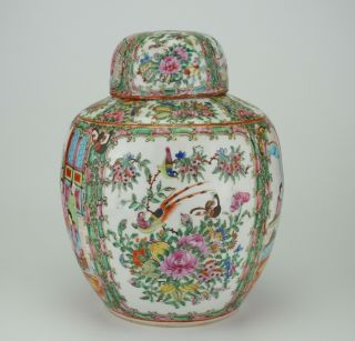 LARGE Antique Chinese Canton Famille Rose Porcelain Vase Ginger Jar & Lid 19th C 8