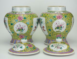 LARGE PAIR Antique Chinese Famille Rose Porcelain Vase Temple Jar & Lid 19th C 11