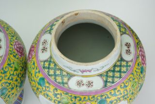 LARGE PAIR Antique Chinese Famille Rose Porcelain Vase Temple Jar & Lid 19th C 12