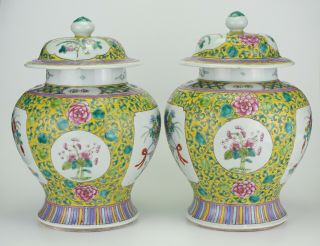 LARGE PAIR Antique Chinese Famille Rose Porcelain Vase Temple Jar & Lid 19th C 4