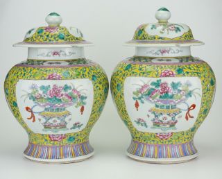 LARGE PAIR Antique Chinese Famille Rose Porcelain Vase Temple Jar & Lid 19th C 5