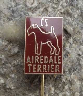 Antique Czech Airedale Bingley Terrier Dog Breeders Association Club Pin Badge