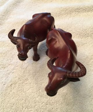 Water Buffalo - Pair.  Wood Carved