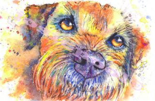 Border Terrier Dog Print From An Watercolour Painting Art By Josie P