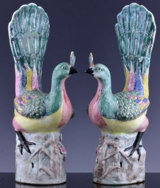 Pair Fine Chinese Republic Famille Rose Enamel Porcelain Phoenix Birds