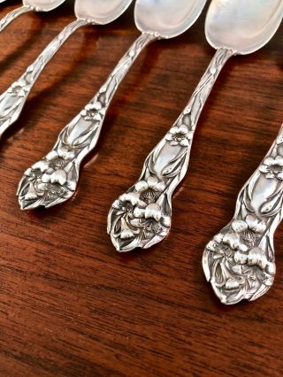 (6) RARE WATSON CO.  STERLING SILVER OVAL BOWL DESSERT / SOUP SPOONS 1902 LILY 7 