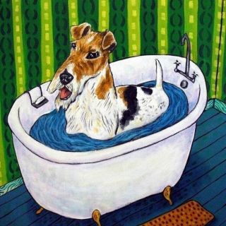 Fox Terrier Bath Ceramic Picture Dog Art Tile Coaster