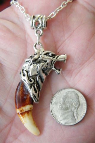 1 Wolf Amulet Necklace & Tooth Coyote Brown Teeth 22 " Silver Chain