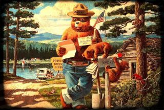 Smokey Bear Checking Mail Licensed U.  S.  Forest Service Metal Sign Made In Usa