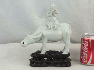 19th C Chinese Porcelain Blanc De Chine Boy On Buffalo On Carved Wooden Stand
