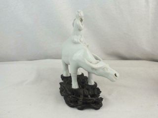 19TH C CHINESE PORCELAIN BLANC DE CHINE BOY ON BUFFALO ON CARVED WOODEN STAND 6