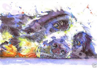 Border Collie Print From Watercolour Dog Sheepdog Painting By Josie P
