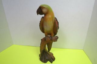 Parrot Bird On Tree Stump Statue Resin Figurine 11.  5 " Tall 1 Flaw