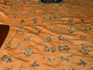 A Rare Chinese Qing Dynasty Embroidered Butterfly Silk Robe. 10