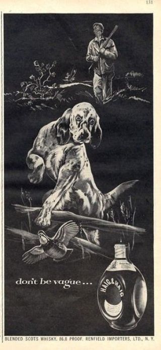 1953 Haig & Haig Setter Bird Dog Hunting Bobwhite Quail Print Ad