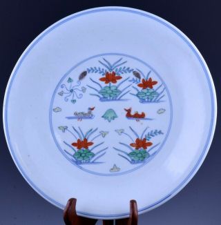 Very Rare 19thc Chinese Doucai Enamel Bird Landscape “lotus Pond” Dish Plate 1