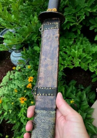 VERY RARE CHINESE IMPERIAL OFFICERS SWORD w SHAGREEN SHEATH MING QING DYNASTY 9