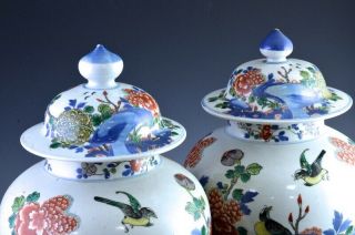 PAIR 19THC CHINESE BLUE WHITE WUCAI ENAMEL BIRD LANDSCAPE MEIPING VASES 5