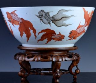 HUGE EARLY 19THC CHINESE ORANGE CORAL & GRISAILLE GOLDFISH & BATS PUNCH BOWL 3