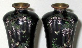 Ota,  Kichisaburo Signed Pair Meiji Japanese Silver Wire Cloisonne Enamel Vases 8
