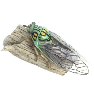 Weekly Japanese Natural Monument Mini Figure 41 Himeharu - Zemi Cicada Kaiyodo