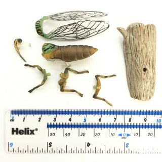 Weekly Japanese Natural Monument Mini Figure 41 Himeharu - Zemi Cicada Kaiyodo 5