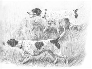 Pointer Hunting Dogs By Marguerite Kirmse 1935 8 Blank Note Cards