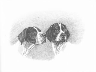 Pointer Hunting Dog Portraits By Marguerite Kirmse 1935 8 Blank Note Cards
