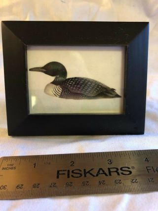 Hand - Painted Framed Loon