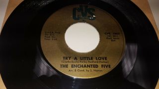 The Enchanted Five Have You Ever/ Try A Little Love 