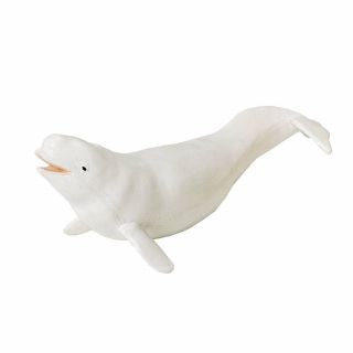 Monterey Bay Sea Life Beluga Whale Safari Ltd Animal Educational Toy Figure