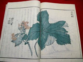 5 - 80 HOKUSAI ukiyoe NIKKO Japanese Woodblock print 5 BOOK 10