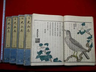 5 - 80 Hokusai Ukiyoe Nikko Japanese Woodblock Print 5 Book