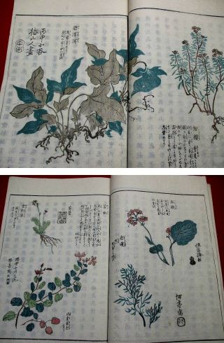 5 - 80 HOKUSAI ukiyoe NIKKO Japanese Woodblock print 5 BOOK 6