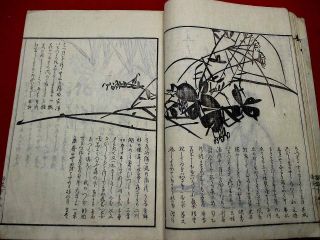 3 - 50 Japanese BANKA Haiku poem Woodblock print BOOK 6