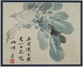 Qing Dynasty Chinese Painting On Silk,  Signed W Seal,  Bok Choy Calligraphy