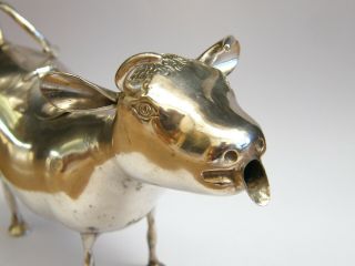 Antique - Rare Large Solid Silver Horned Cow Figure Creamer/Jug - London Imp - c1893 3